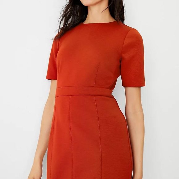 NWT Ann Taylor Short Sleeve Sheath Dress - Picture 3 of 3